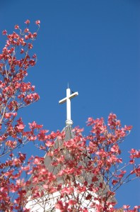 Spring at Messiah.  "Therefore I tell you, do not worry about your life, what you will eat or what you will drink, or about your body, what you will wear. Is not life more than food, and the body more than clothing? Look at the birds of the air; they neither sow nor reap nor gather into barns, and yet your heavenly Father feeds them." (see Matt. 6: 25-34)