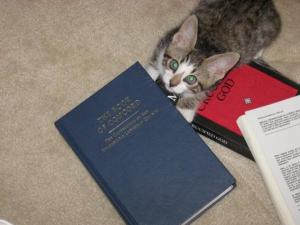 The pastor's cat is a Lutheran cat.