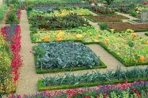 Vegetable-Garden-Layout1