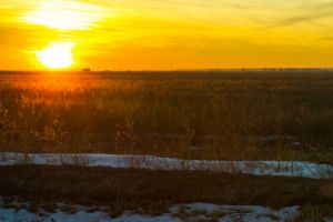 Sun Snow, by Trenton Jones (2015)